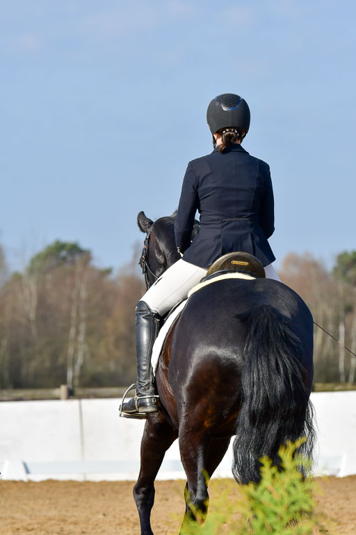 Reitsportzentrum Bremervörde | 10421 Dressur L Tr_082 