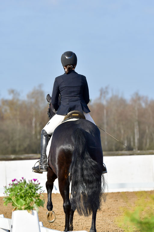 Reitsportzentrum Bremervörde | 10421 Dressur L Tr_083 