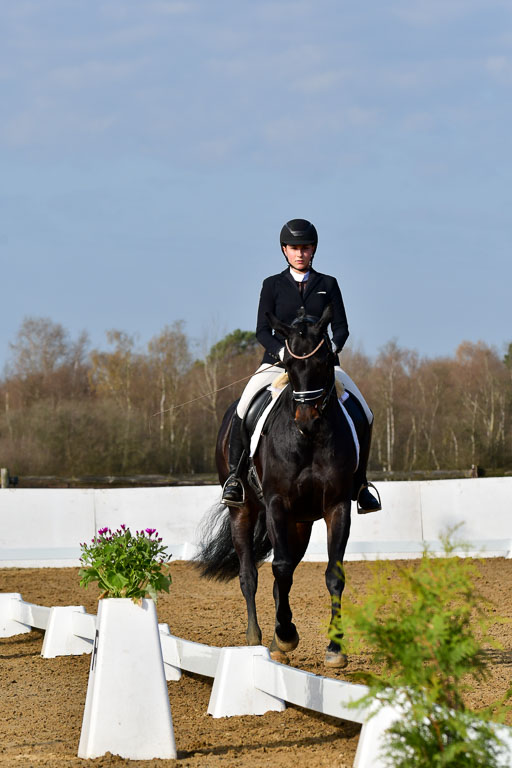 Reitsportzentrum Bremervörde | 10421 Dressur L Tr_088 