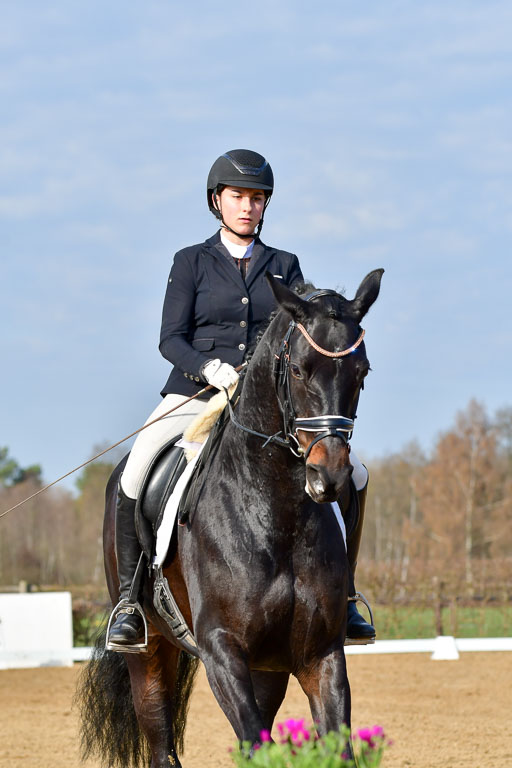 Reitsportzentrum Bremervörde | 10421 Dressur L Tr_090 