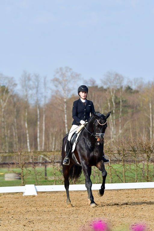 Reitsportzentrum Bremervörde | 10421 Dressur L Tr_091 