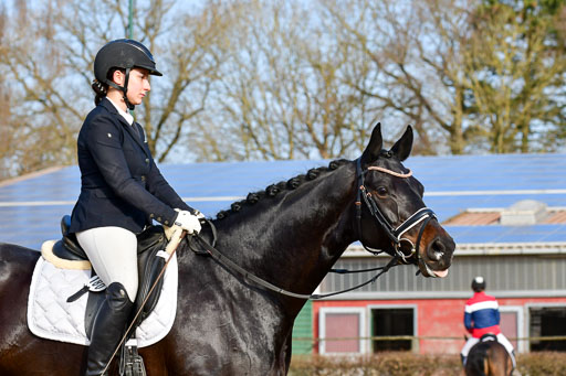 Reitsportzentrum Bremervörde | 10421 Dressur L Tr_095 