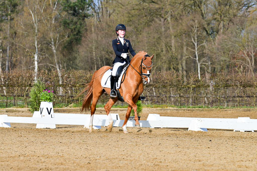 Reitsportzentrum Bremervörde | 10421 Dressur L Tr_096 