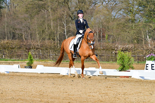 Reitsportzentrum Bremervörde | 10421 Dressur L Tr_097 