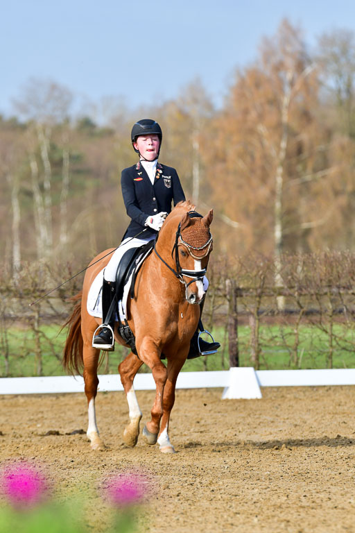 Reitsportzentrum Bremervörde | 10421 Dressur L Tr_101 