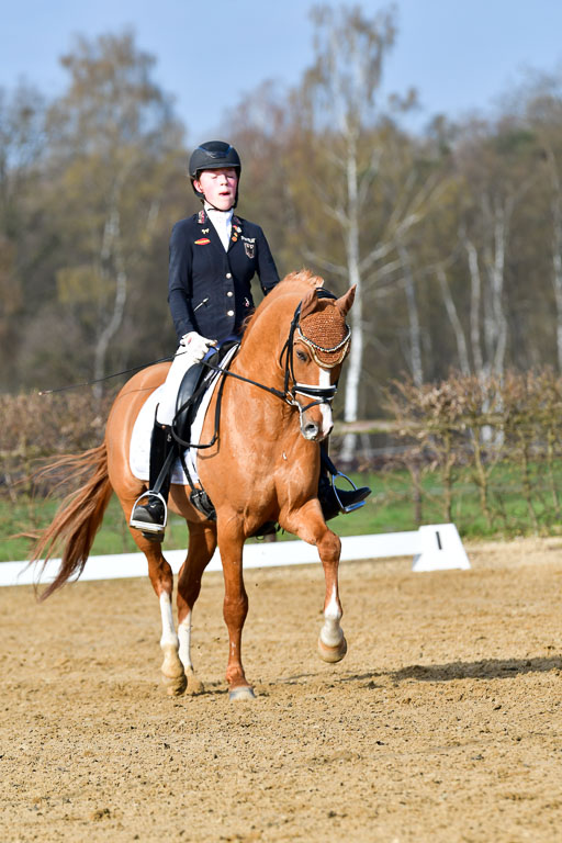Reitsportzentrum Bremervörde | 10421 Dressur L Tr_102 