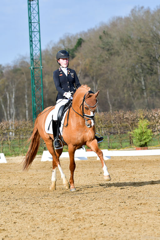 Reitsportzentrum Bremervörde | 10421 Dressur L Tr_103 