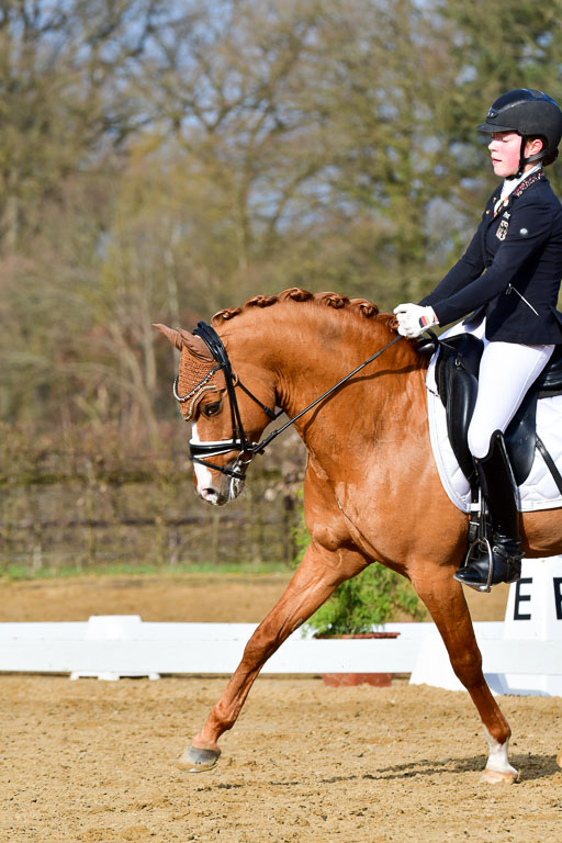 Reitsportzentrum Bremervörde | 10421 Dressur L Tr_104 