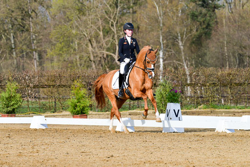 Reitsportzentrum Bremervörde | 10421 Dressur L Tr_111 