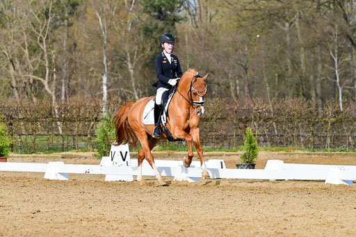 Reitsportzentrum Bremervörde | 10421 Dressur L Tr_113 