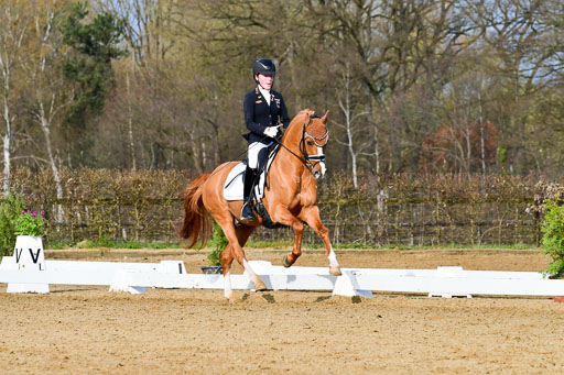 Reitsportzentrum Bremervörde | 10421 Dressur L Tr_114 