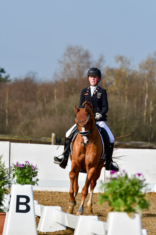 Reitsportzentrum Bremervörde | 10421 Dressur L Tr_115 