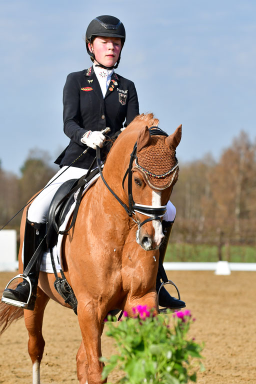 Reitsportzentrum Bremervörde | 10421 Dressur L Tr_118 