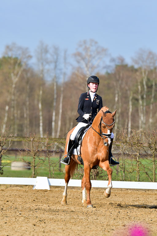 Reitsportzentrum Bremervörde | 10421 Dressur L Tr_119 