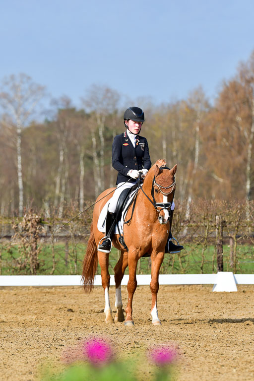 Reitsportzentrum Bremervörde | 10421 Dressur L Tr_120 