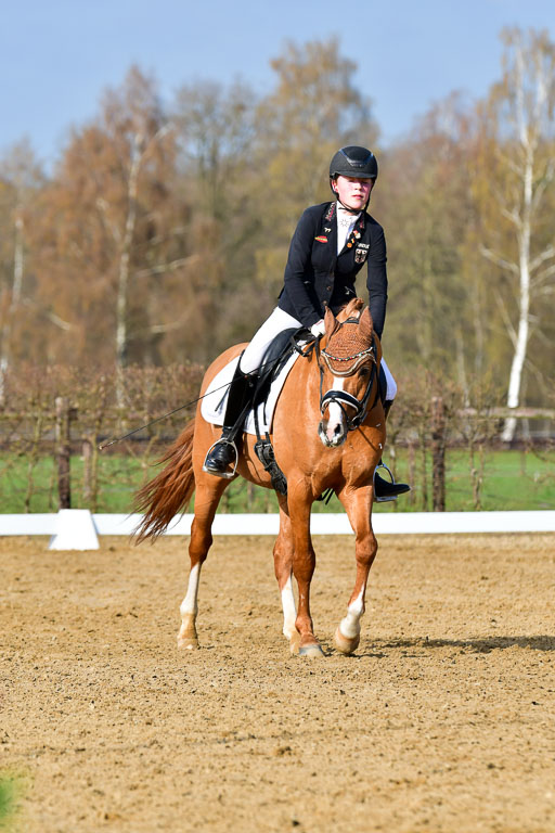 Reitsportzentrum Bremervörde | 10421 Dressur L Tr_121 