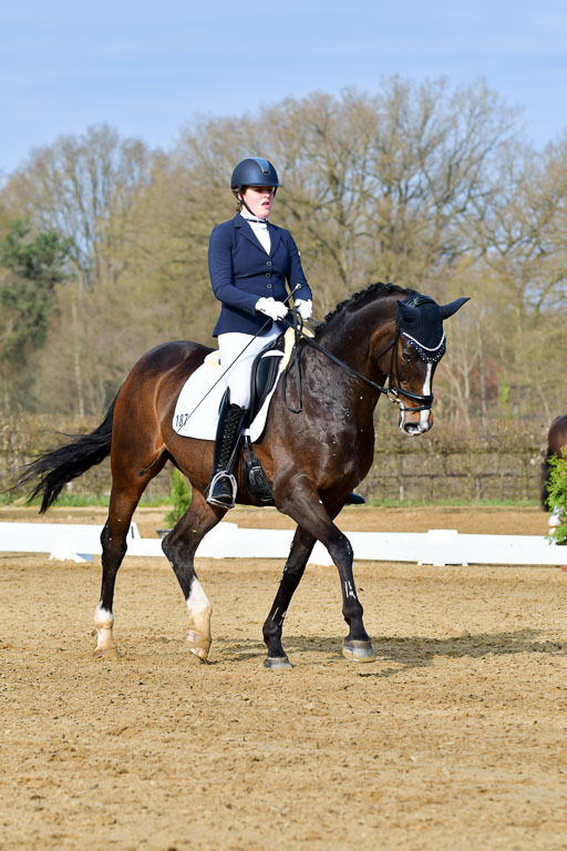 Reitsportzentrum Bremervörde | 10421 Dressur L Tr_127 