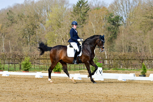 Reitsportzentrum Bremervörde | 10421 Dressur L Tr_131 