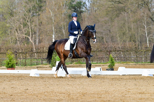 Reitsportzentrum Bremervörde | 10421 Dressur L Tr_133 