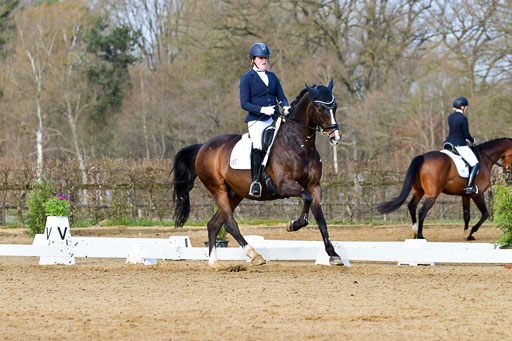 Reitsportzentrum Bremervörde | 10421 Dressur L Tr_134 