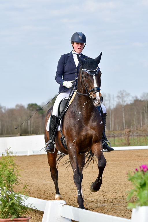 Reitsportzentrum Bremervörde | 10421 Dressur L Tr_137 