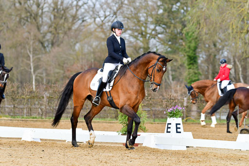 Reitsportzentrum Bremervörde | 10421 Dressur L Tr_140 