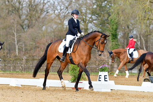 Reitsportzentrum Bremervörde | 10421 Dressur L Tr_141 