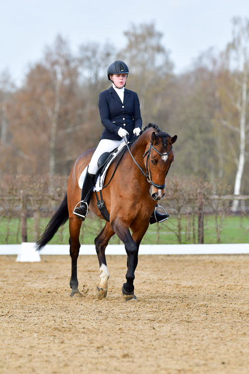 Reitsportzentrum Bremervörde | 10421 Dressur L Tr_142 