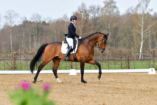 Reitsportzentrum Bremervörde | 10421 Dressur L Tr_144 