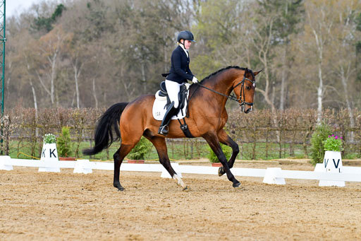 Reitsportzentrum Bremervörde | 10421 Dressur L Tr_145 