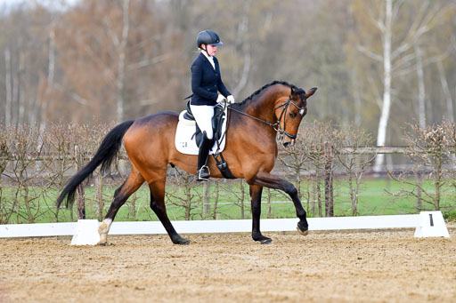 Reitsportzentrum Bremervörde | 10421 Dressur L Tr_147 