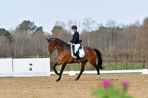 Reitsportzentrum Bremervörde | 10421 Dressur L Tr_150 