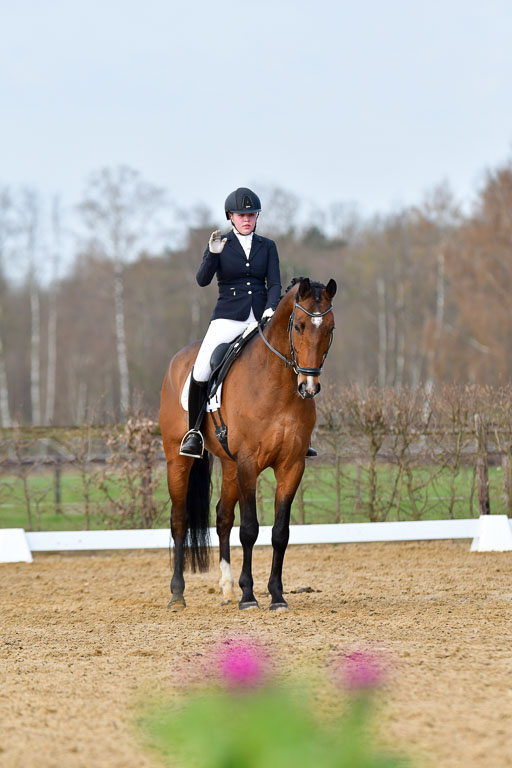 Reitsportzentrum Bremervörde | 10421 Dressur L Tr_153 