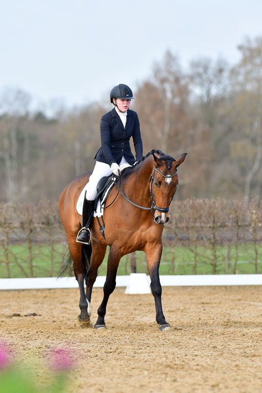 Reitsportzentrum Bremervörde | 10421 Dressur L Tr_154 