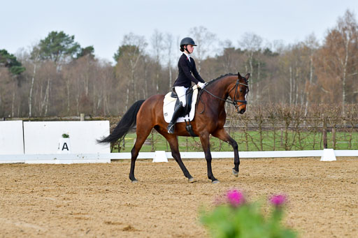 Reitsportzentrum Bremervörde | 10421 Dressur L Tr_159 