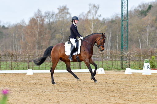 Reitsportzentrum Bremervörde | 10421 Dressur L Tr_160 