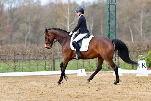 Reitsportzentrum Bremervörde | 10421 Dressur L Tr_164 