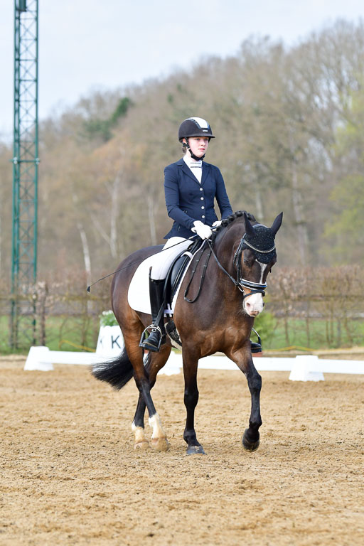 Reitsportzentrum Bremervörde | 10421 Dressur L Tr_171 