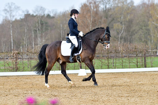 Reitsportzentrum Bremervörde | 10421 Dressur L Tr_173 