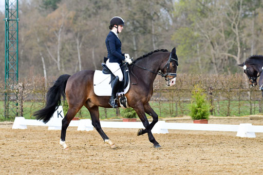 Reitsportzentrum Bremervörde | 10421 Dressur L Tr_175 