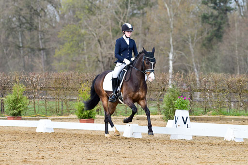 Reitsportzentrum Bremervörde | 10421 Dressur L Tr_178 