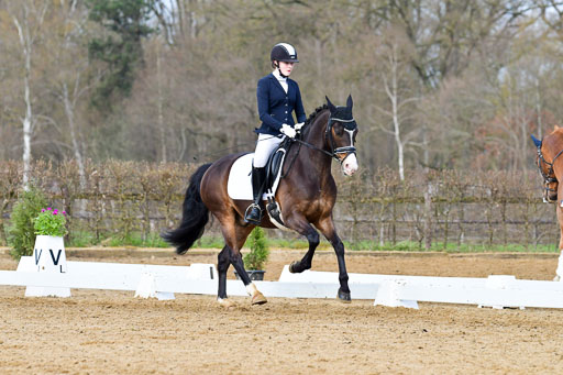 Reitsportzentrum Bremervörde | 10421 Dressur L Tr_181 