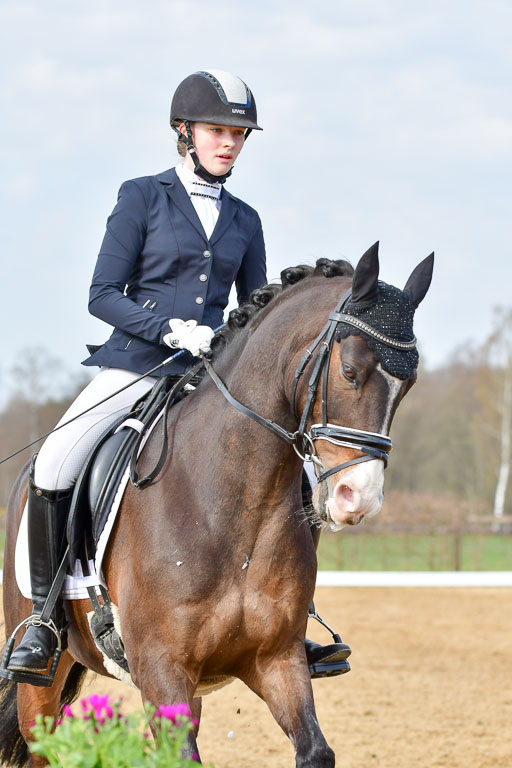 Reitsportzentrum Bremervörde | 10421 Dressur L Tr_184 