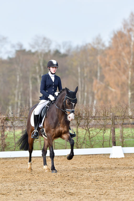 Reitsportzentrum Bremervörde | 10421 Dressur L Tr_186 