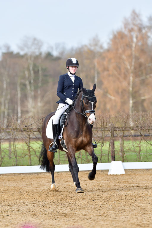 Reitsportzentrum Bremervörde | 10421 Dressur L Tr_187 