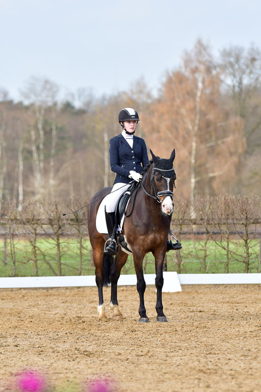 Reitsportzentrum Bremervörde | 10421 Dressur L Tr_188 