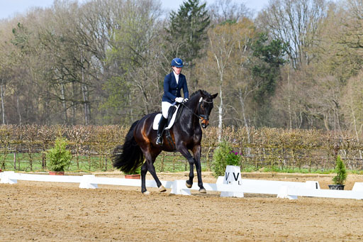 Reitsportzentrum Bremervörde | 10421 Dressur L Tr_200 