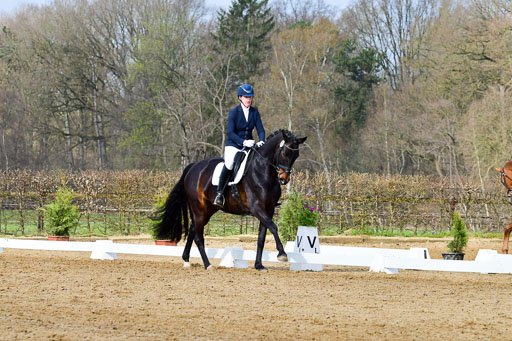 Reitsportzentrum Bremervörde | 10421 Dressur L Tr_201 