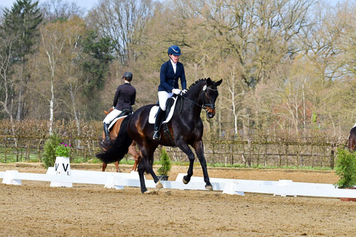 Reitsportzentrum Bremervörde | 10421 Dressur L Tr_202 