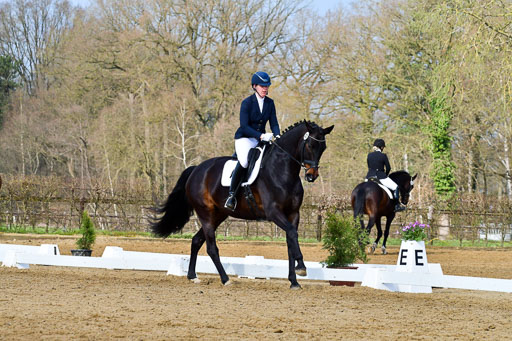 Reitsportzentrum Bremervörde | 10421 Dressur L Tr_203 